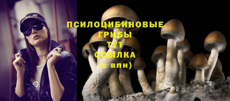 Галлюциногенные грибы Magic Shrooms  Бутурлиновка 